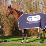 Cracksman in Longines World's Best Racehorse 2018 winners rug - credit: Amy Lanigan Photography.jpg