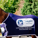 Winx in Longines World's Best Racehorse 2018 winners rug - credit:Jonathan Ng/DailyTelegraph