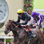 Crystal Ocean in the Prince of Wales Credit: Racingfotos.com