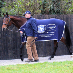 Crystal Ocean with his groom Peter Kenneally at The Beeches Stud, Ireland