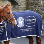 Waldgeist - Credit: Caroline Norris