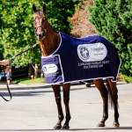 Winx in Longines World's Best Racehorse 2018 winners rug - credit:.Jonathan Ng/Daily Telegraph.jpg